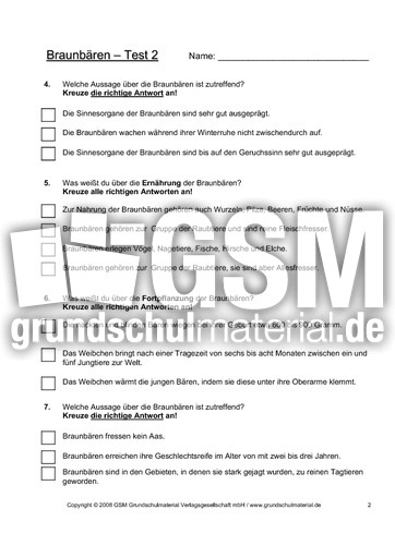 Braunbär-Test-Seite-2.pdf